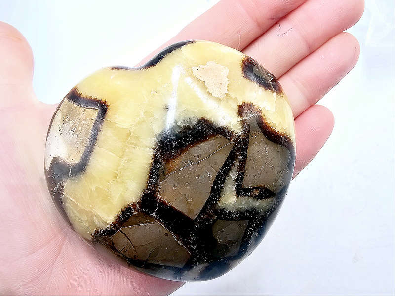 Septarian Polished Heart C (302g)