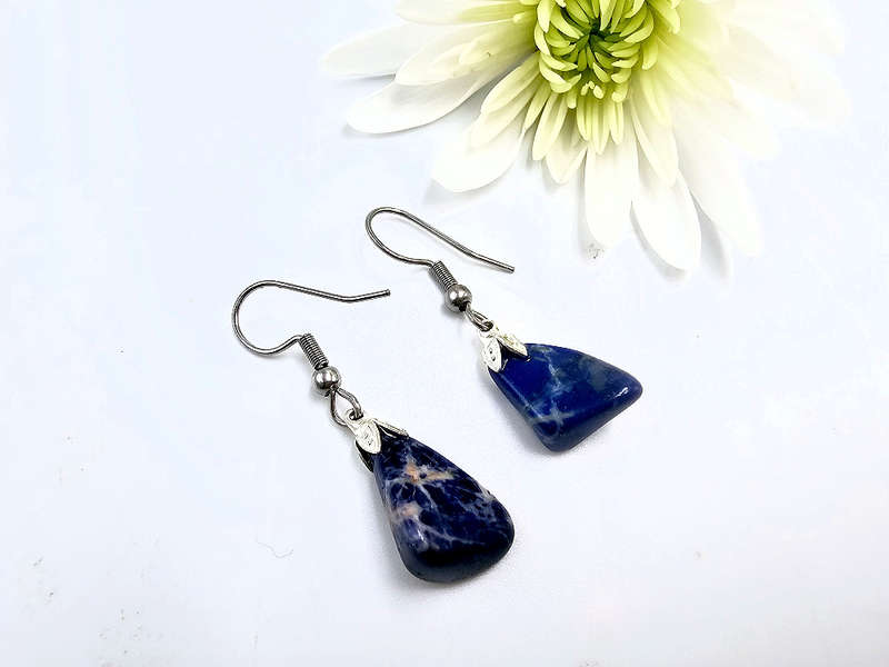 Sodalite Drop Earrings (Stainless Steel)