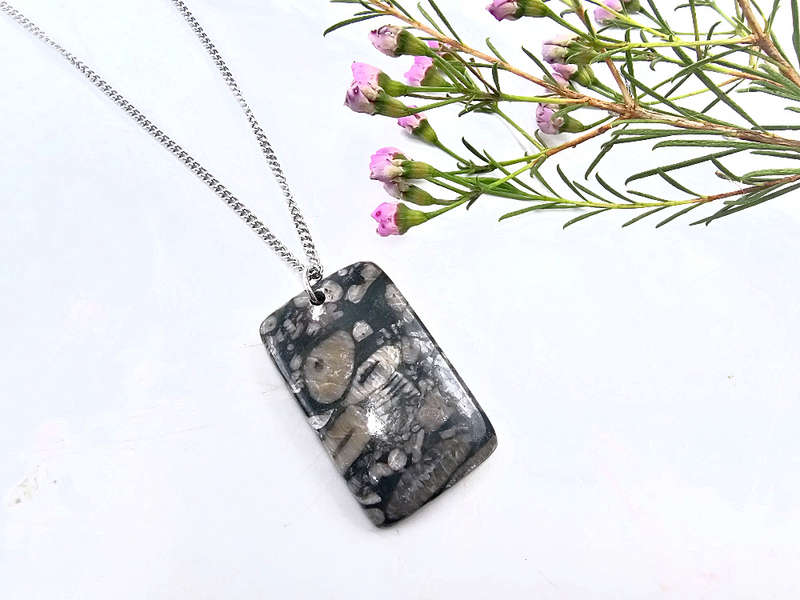 Turritella Agate Necklace Square