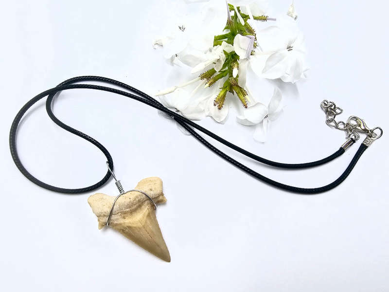 Shark Tooth Necklace