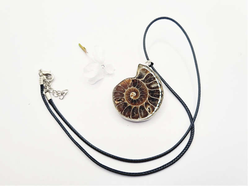 Ammonite Necklace (Strength &amp; Stability)