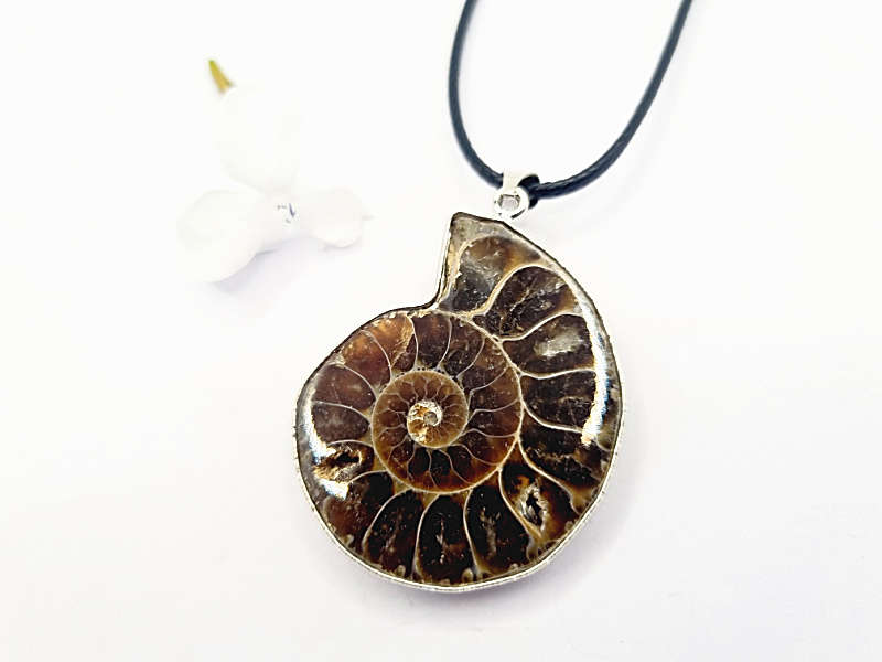 Ammonite Necklace (Strength &amp; Stability)