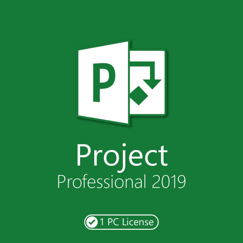 Microsoft Project 2019