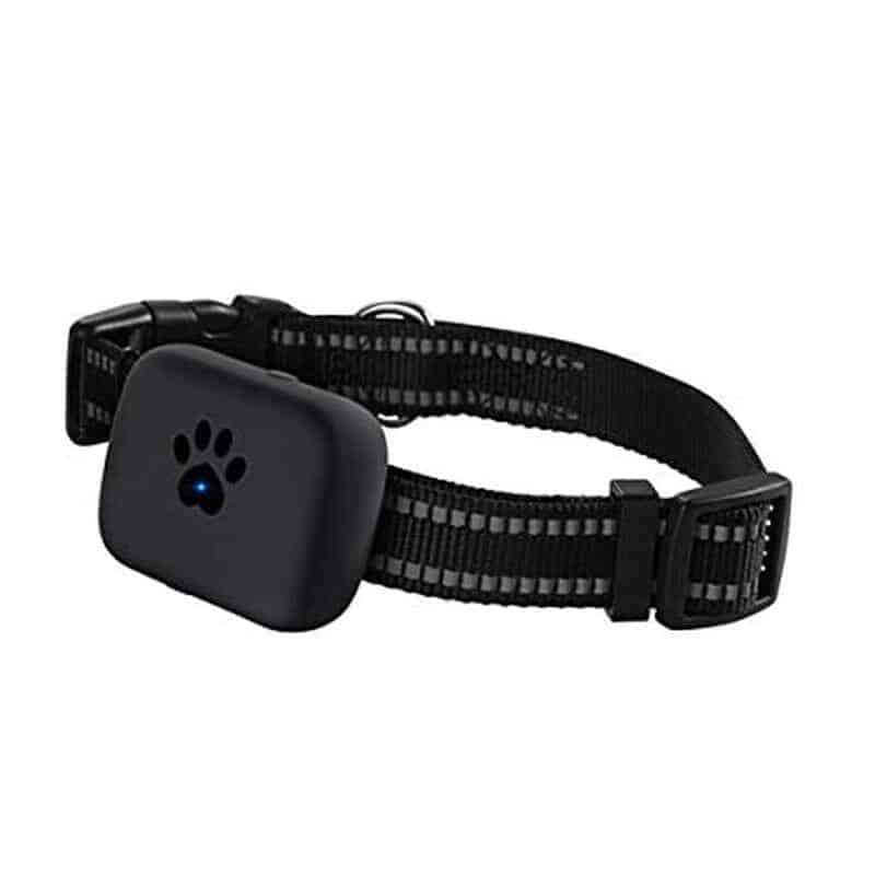 PET Tracker Tag Collar, Free Mobile App, Waterproof