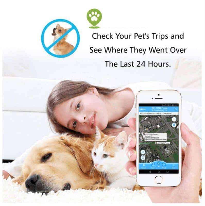PET Tracker Tag Collar, Free Mobile App, Waterproof