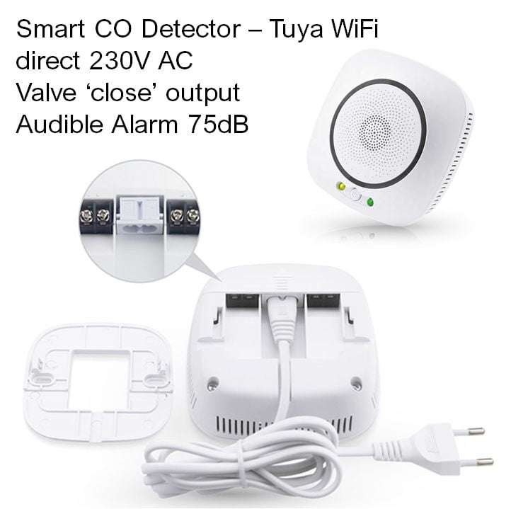 Smart Carbon Monoxide (CO) Detector | Valve Close & Alarm | WiFi Tuya Smart Life