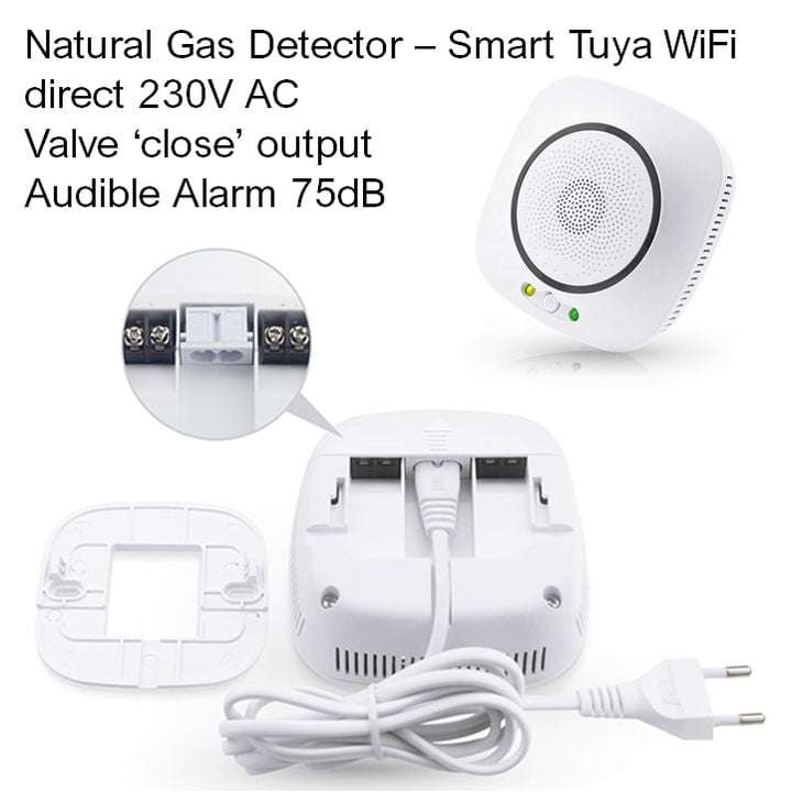Smart Natural Gas Detector CH4 | Valve Close & Alarm | WiFi Tuya Smart Life