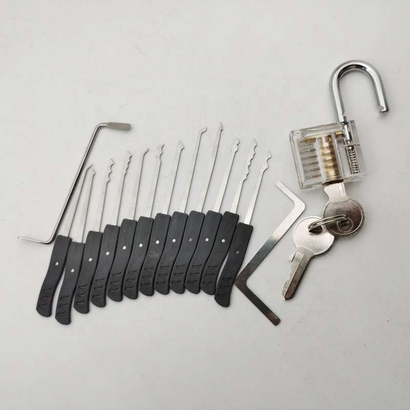 12 Piece Stainless Steel Mini Lock Pick Set