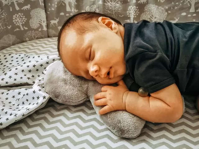 Snuggle Bunny