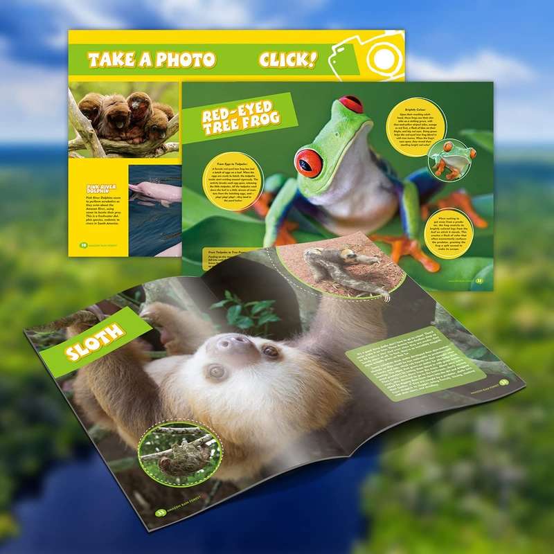 Cubic Fun National Geographic Kids Amazon Rainforest