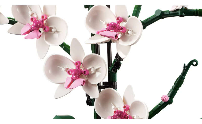LEGO ICONS Orchid