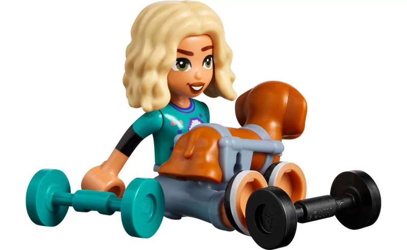 LEGO Friends Dog Rescue Van