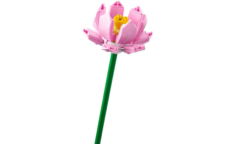 LEGO® Iconic Lotus Flowers 40647