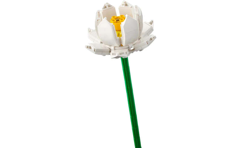 LEGO® Iconic Lotus Flowers 40647
