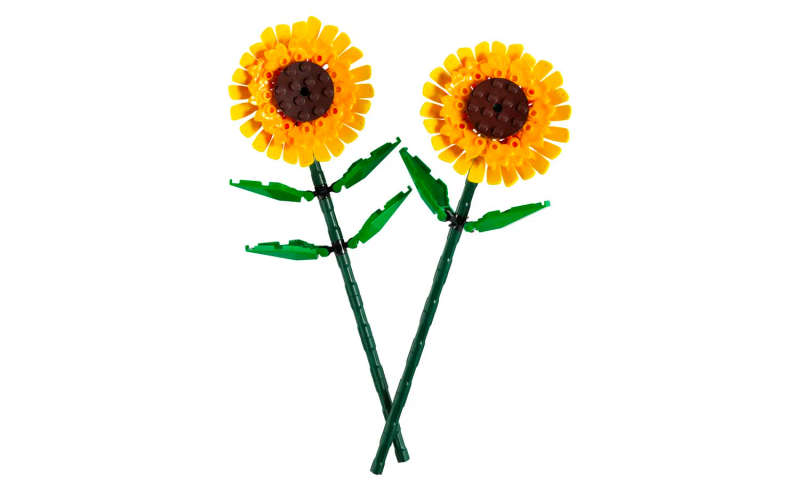 LEGO® Iconic Sunflowers 40524