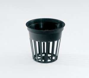 50ml Net Pot