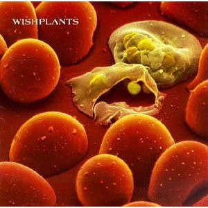 Wishplants - Coma (CD, Album)