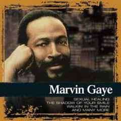 Marvin Gaye - Collections (CD, Comp)