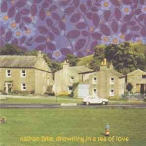 Nathan Fake - Drowning In A Sea Of Love (CD, Album)