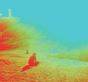 The Flaming Lips - The Terror (CD, Album)