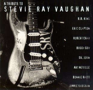 Various - A Tribute To Stevie Ray Vaughan (CD)