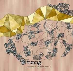 Tunng - Comments Of The Inner Chorus (CD, Album)