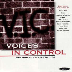 Voices In Control - The R&B Flavours Album (CD, Album)