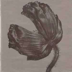 Pet Shop Boys - Release (CD, Album, EMI)