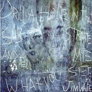 Jim White - Drill A Hole In That Substrate And Tell Me What You See (CD, Album)