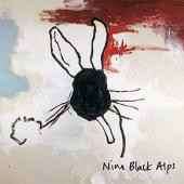 Nine Black Alps - Everything Is (CD, Album)