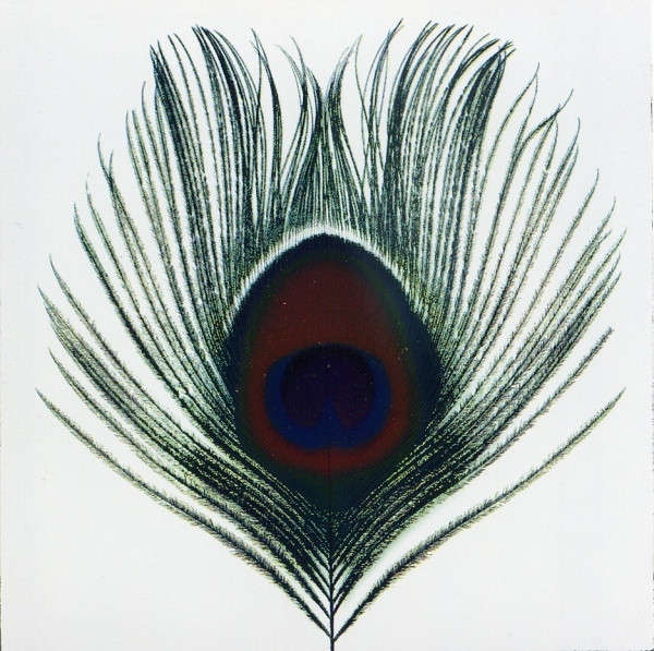 XTC - Apple Venus Volume 1 (CD, Album)
