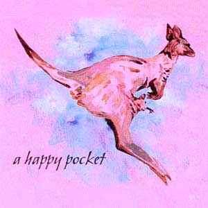 The Trash Can Sinatras - A Happy Pocket (CD, Album)
