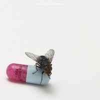 Red Hot Chili Peppers - I'm With You (CD, Album, Ltd, Dig)
