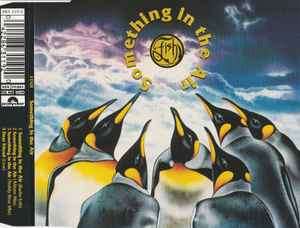 Fish - Something In The Air (CD, Maxi)
