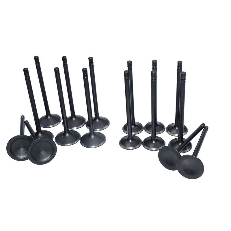 16pcs inlet drain Engine Valves For GM 2.0 - 2.2 - 2.4 ECOTEC DOHC 12622329