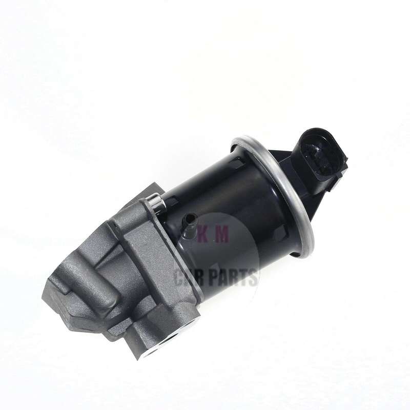 EGR Valve Gas Recirculation Valve for VW Lupo 6X1 6E1 Polo 6N2 1.0 Sales