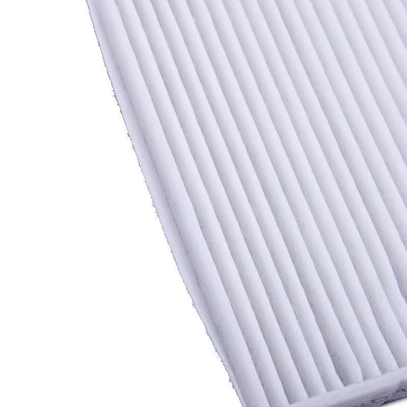 Fit For BMW X5 E70 F15 F85 X6 E71 64319194098 64316945596 Cabin Air Filter A2