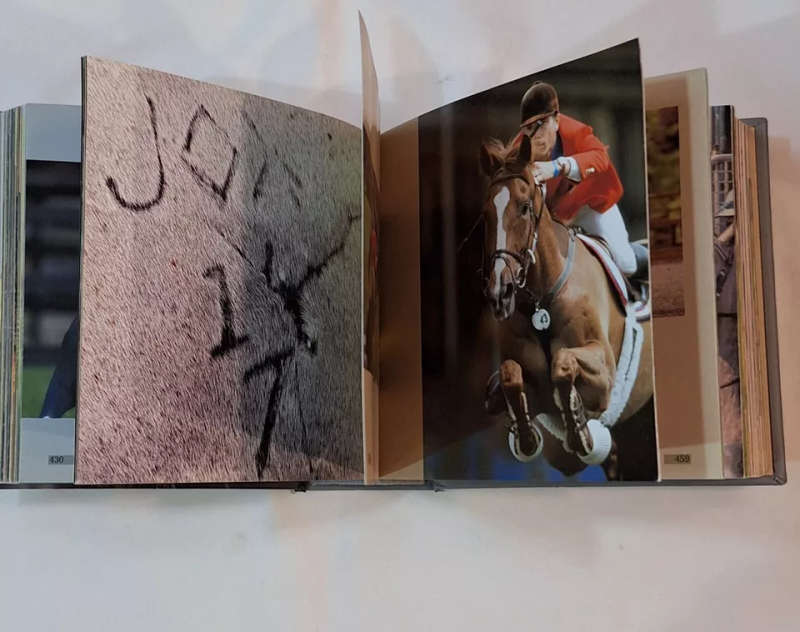 Horses