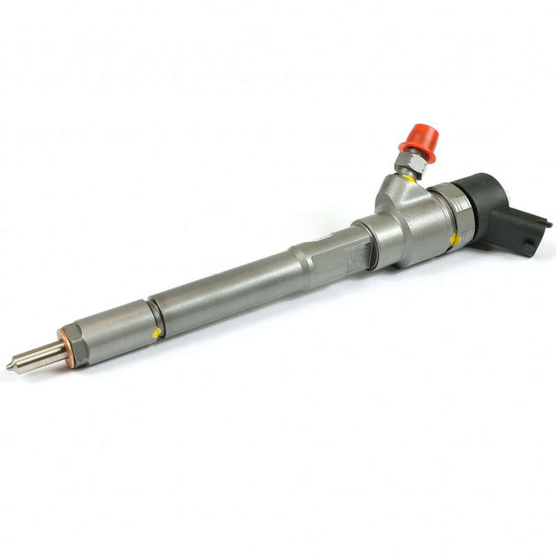 0445110269 0986435153 0445110270 Common Rail Diesel Injector For Bosch
