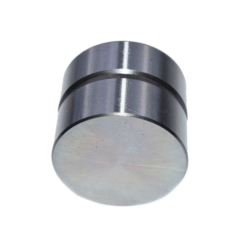 Fit 88-05 Mazda Kia 1.5/1.6/1.8/2.0L Engine Valve Lifters Lash Adjuster 85005200