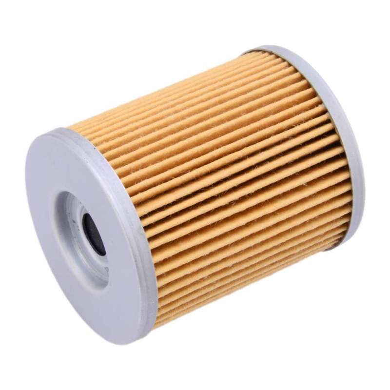 Oil Filter 420256188 fit for Can Am Commander Defender Bombardier DS650 Traxter