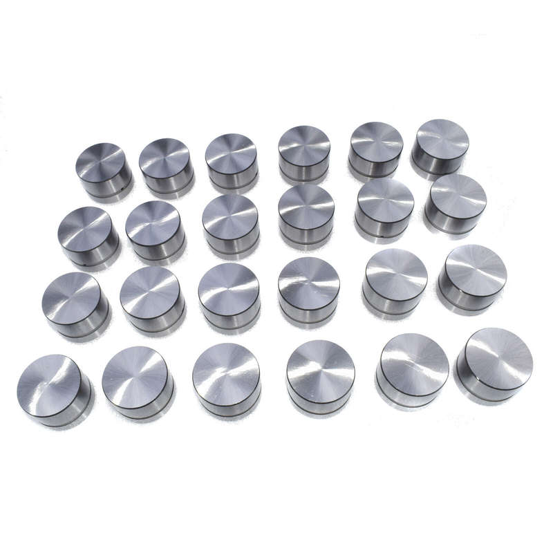 24PCS For 96-05 BMW 540 740 840 X5 Z8 V8 Land Rover Hydraulic Lifters 6110500225