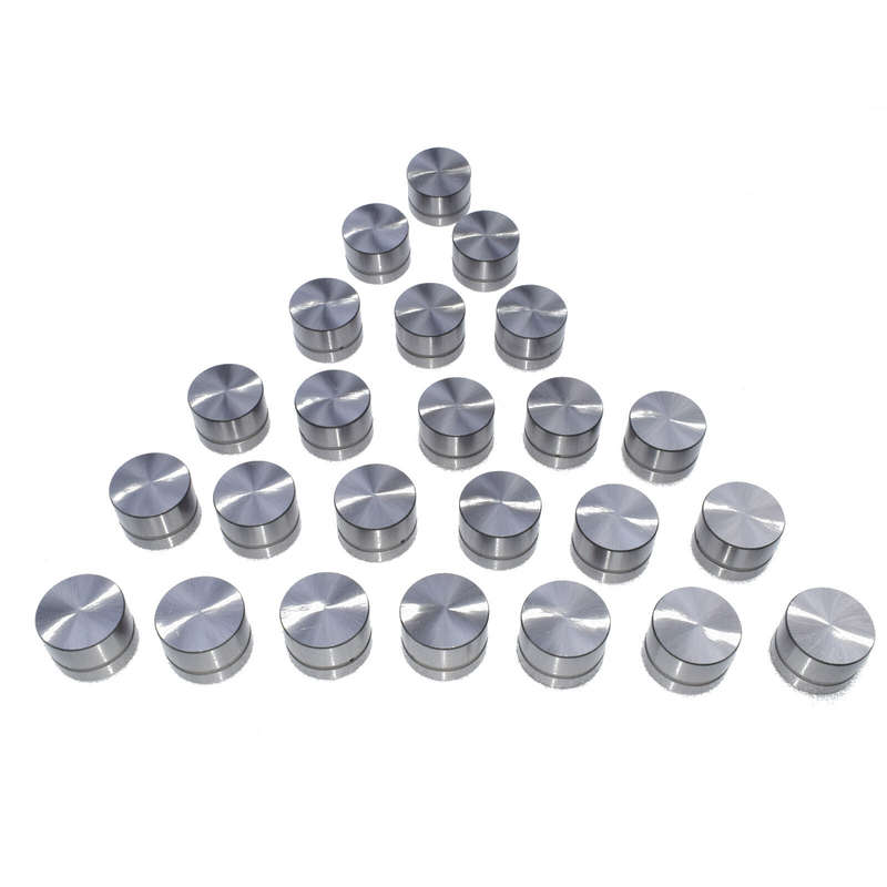 24PCS For 96-05 BMW 540 740 840 X5 Z8 V8 Land Rover Hydraulic Lifters 6110500225