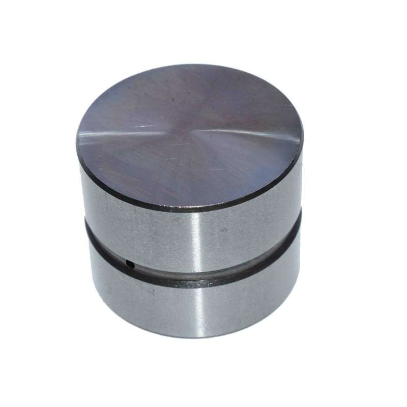 Fit 88-05 Mazda Kia 1.5/1.6/1.8/2.0L Engine Valve Lifters Lash Adjuster 85005200