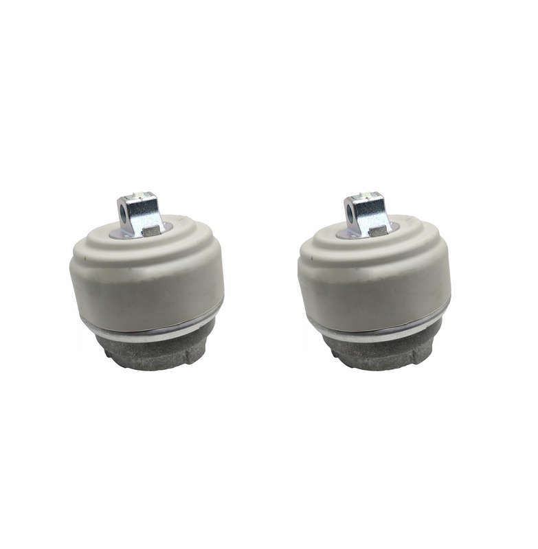 For Mercedes Benz W221 S550 Left+Right Engine Mount Set 2212405317