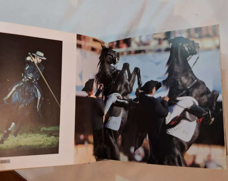 Horses