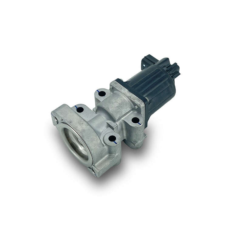 97376663 8973766632 Valve Fits For Opel Astra H Meriva Zafira 5851076 K5T70380