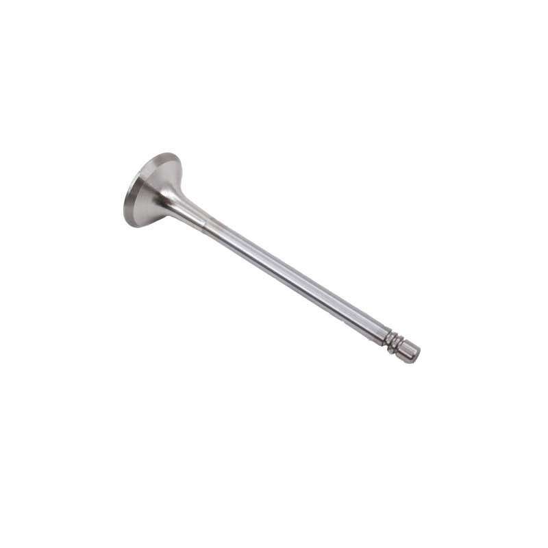 Intake Exhaust Valves Set 06D109601M For Audi A4 A5 VW GLI GTI Tiguan Passat 2.0
