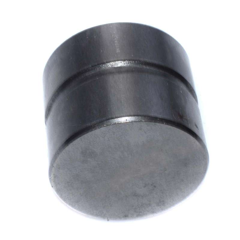 Lash Adjusters Lifters Tappet LF8006 For 1999-06 Suzuki Vitara Chevrolet Tracker