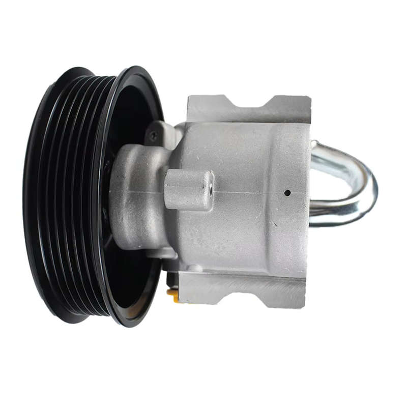 95241308 For CHEVROLET AVEO 1.6L 2009  2018 PONTIAC NEW Power Steering Pump
